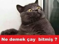 çay bitmiş.webp