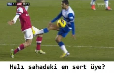 131.webp