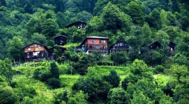 hazindak.webp