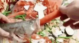 Untitled.webp