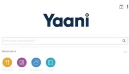 yni.webp