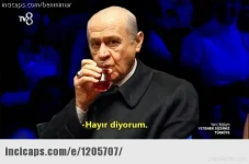 1205707.webp