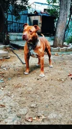 IMG-20171126-WA0002.webp
