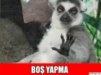 310061_obb91.webp