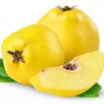 ayva.webp