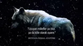 images%20(40).webp