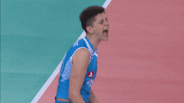 giphy.gif