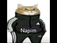 1631047846567.jpeg
