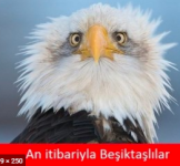 1632312461383.png