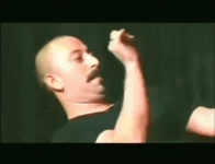 BruisedBlankEagle-size_restricted.gif