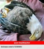 images (3).jpeg