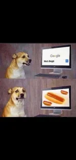 hot dog.webp