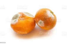 istockphoto-544969594-1024x1024.webp istockphoto-544969594-1024x1024.webp
