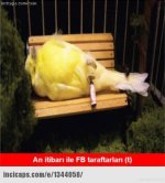 images (4).jpeg