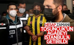 tosuncuk_551.webp