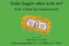 Untitled.webp