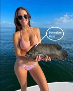 1637247161611.webp