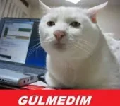 1637950521566.webp