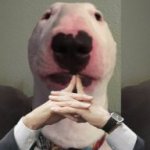 1638272460286.jpeg