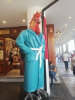 images (4).jpeg