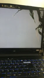 230DF783-E6F8-4D21-8F0B-70D164FD4E7F.webp