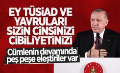 tusiad_6786.jpg