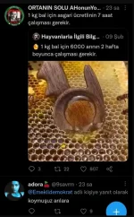 1639988796594.webp 1639988796594.webp