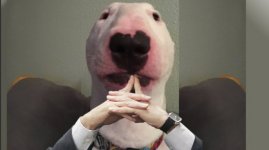 20478.jpg