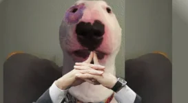 1640682993528.webp