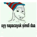1522154465207.webp