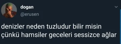EZ6fQQwXQAAuLUU.webp