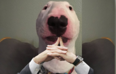 1641319049580.png