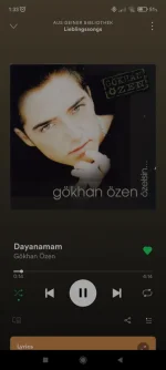 Screenshot_2022-01-07-01-33-45-974_com.spotify.music.webp