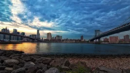 new york.webp