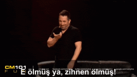 PeriodicSelfishBrant-max-1mb.gif