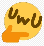 1642069920357.webp