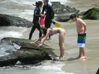 images (1).webp