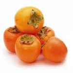 1642326814866.webp