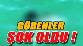 gorenler-sok-oldu_1.jpg