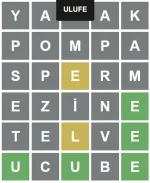 1643375981414.webp