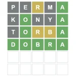 1643404000155.webp