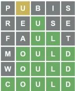 1643408652913.webp
