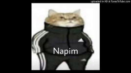 1643885526656.png