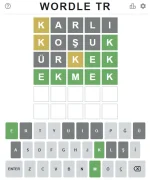 wordle_tr.webp