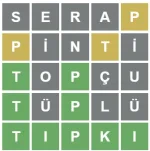 1644095862933.webp