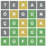 1644527726399.webp
