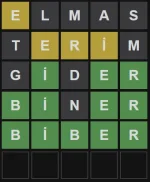 wordletr.webp