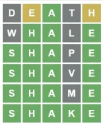1645047084067.webp