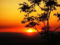 1646664304709.webp