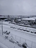 IMG_20220312_095904.jpg